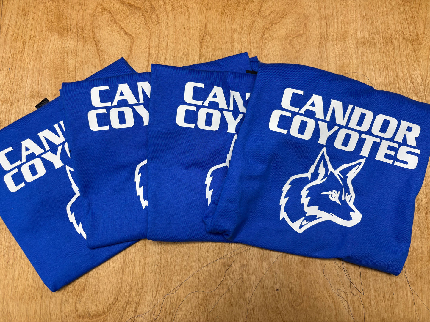 Candor Coyotes - Youth T-Shirt