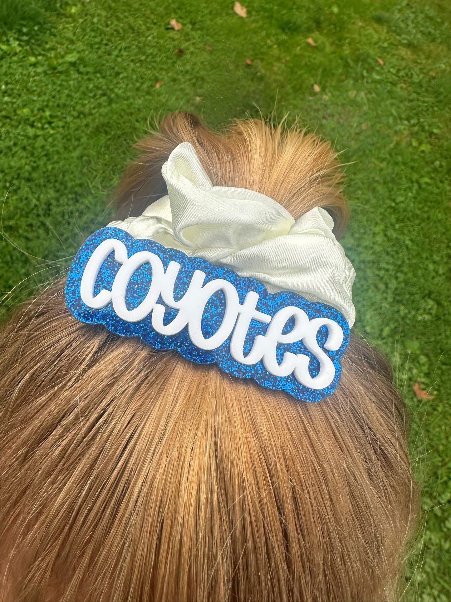 Coyotes Hair Clip